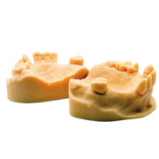 Multi angle view of dental models 3D printed on the Desktop Health Pro XL against a white background.