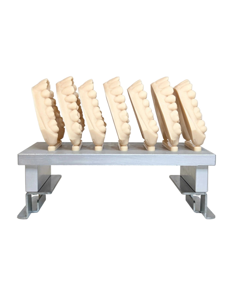A build plate view of orthodontic model parts printed in the GenModel Px resin material on a ETEC D4K printer at 125um by our CTO Erica Odom. The build plate assembly is against a white background.
