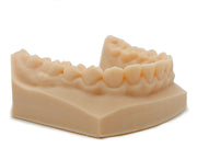 GenModel Px dental model print, printed on a Elegoo Saturn Ultra+ 16K in house at Phoenix 3D Supply of Redford, Michigan.
