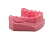 An Ortho Px Pretty Pink dental model showing a set of teeth and gum contours, photographed on a clean white background. Printed using the LuxCreo iLux Pro Dental printer.
