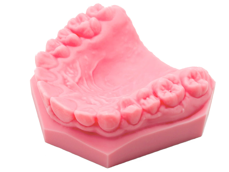 An Ortho Px Pretty Pink dental model showing a set of teeth and gum contours, photographed on a clean white background. Printed using the LuxCreo iLux Pro Dental printer.